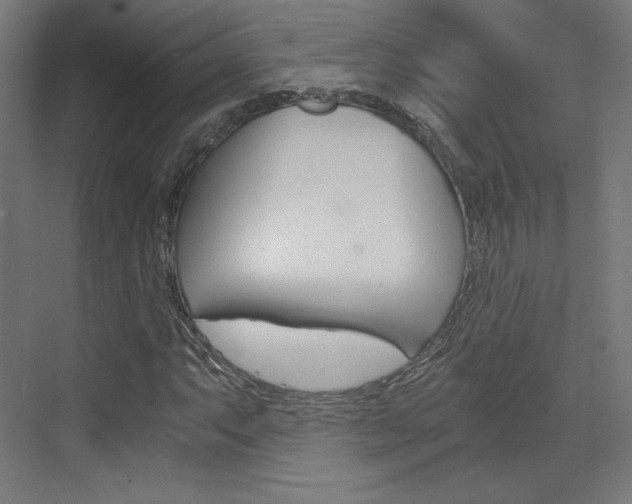 X0000073431063200607280959