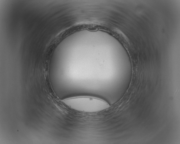 X0000073431064200607280959