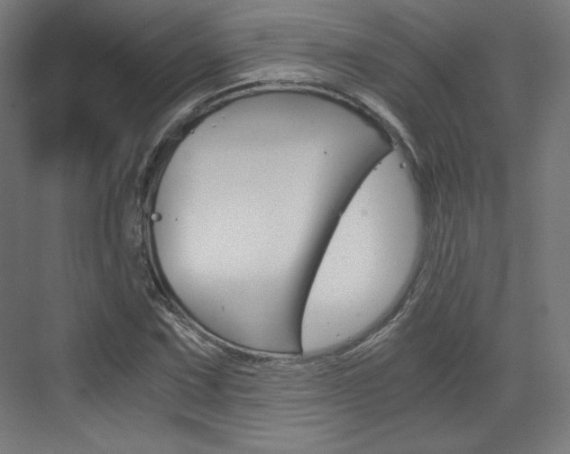 X0000073431067200607280959