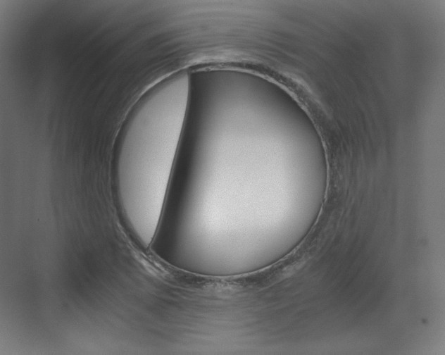 X0000073431073200607280959