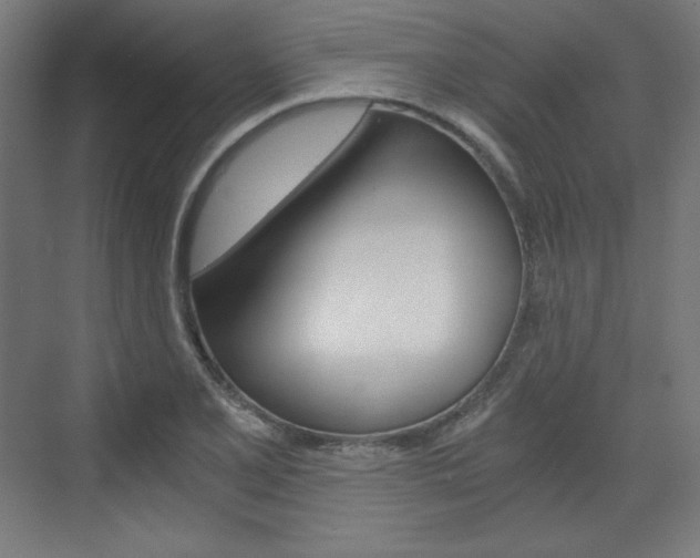 X0000073431077200607280959