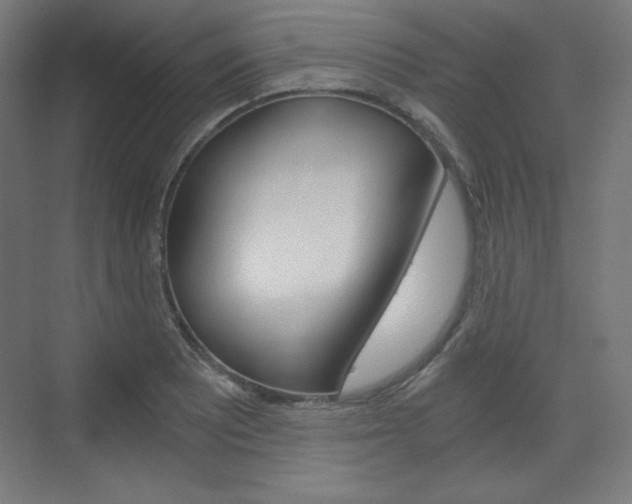 X0000073431081200607280959