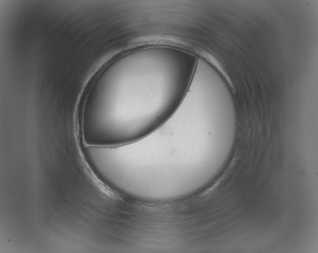X0000073431082200607280959