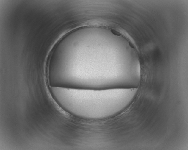 X0000073431091200607280959