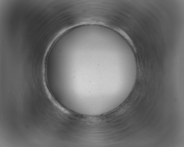 X0000073431096200607280959