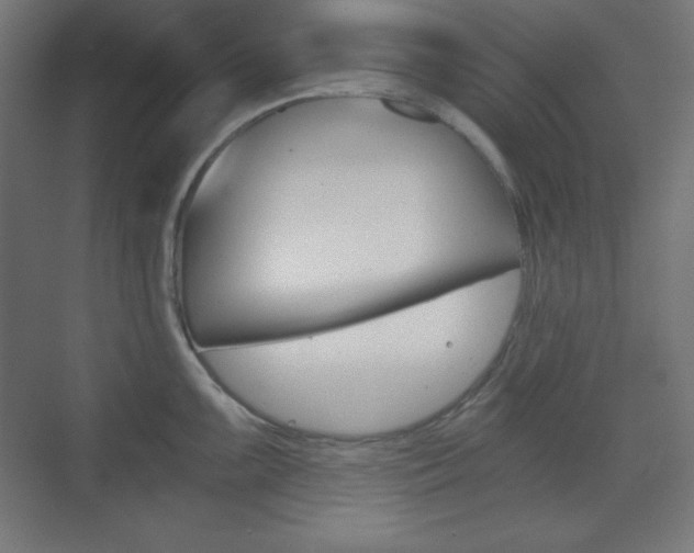 X0000073431099200607280959