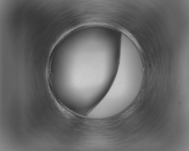 X0000073431101200607280959