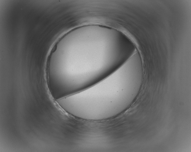 X0000073431104200607280959