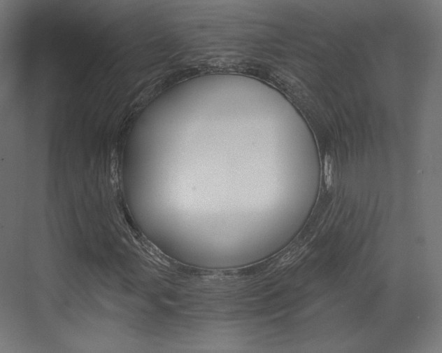 X0000073431107200607280958