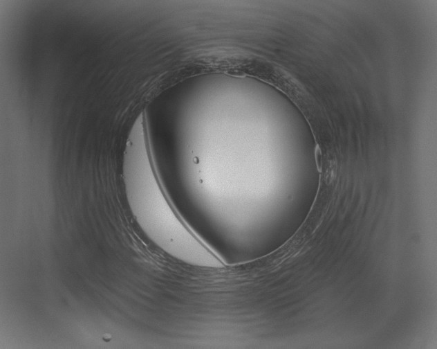 X0000073431108200607280958