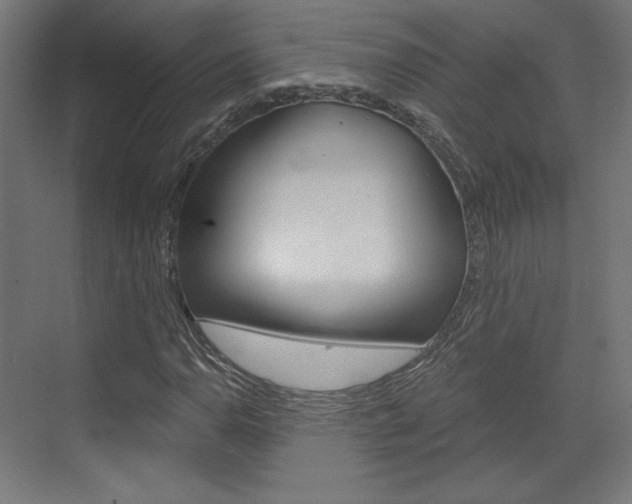 X0000073431110200607280958
