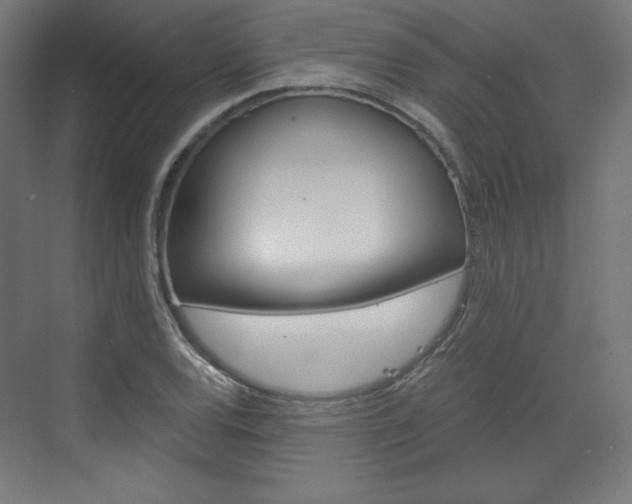 X0000073431120200607280958