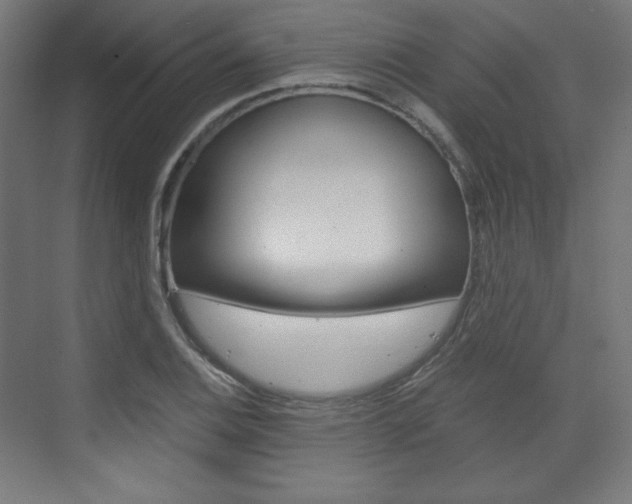 X0000073431124200607280958