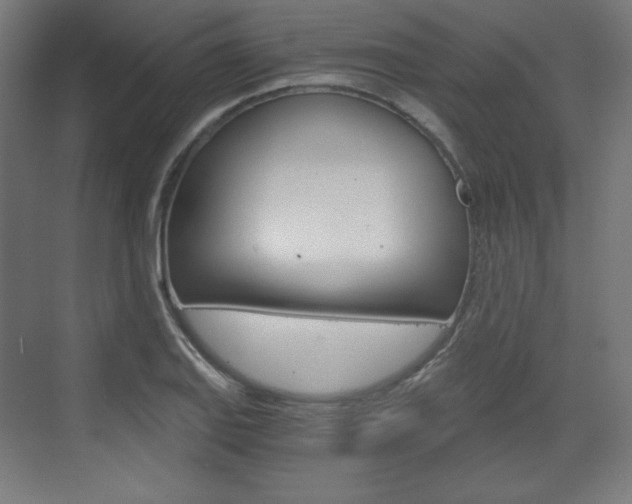 X0000073431127200607280958