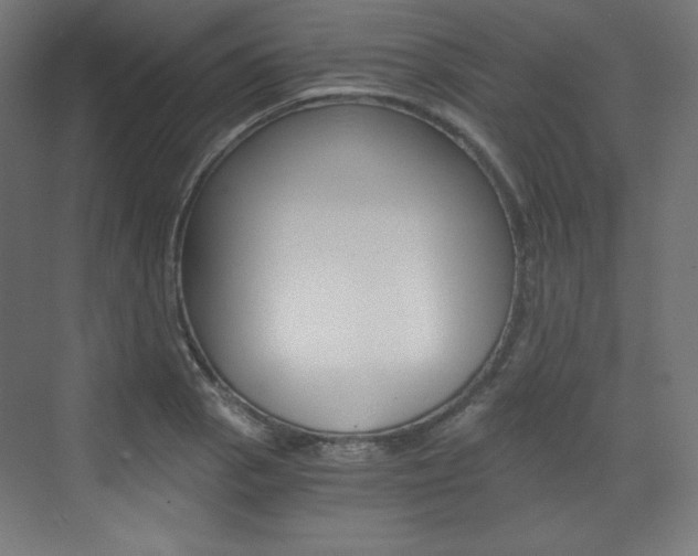 X0000073431129200607280958
