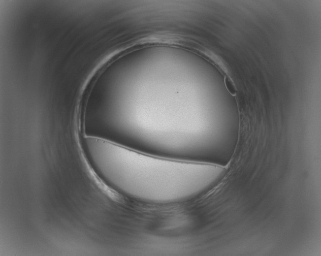 X0000073431131200607280958