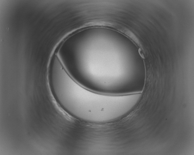 X0000073431132200607280958