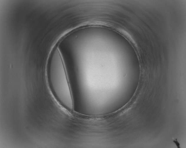 X0000073431133200607280958