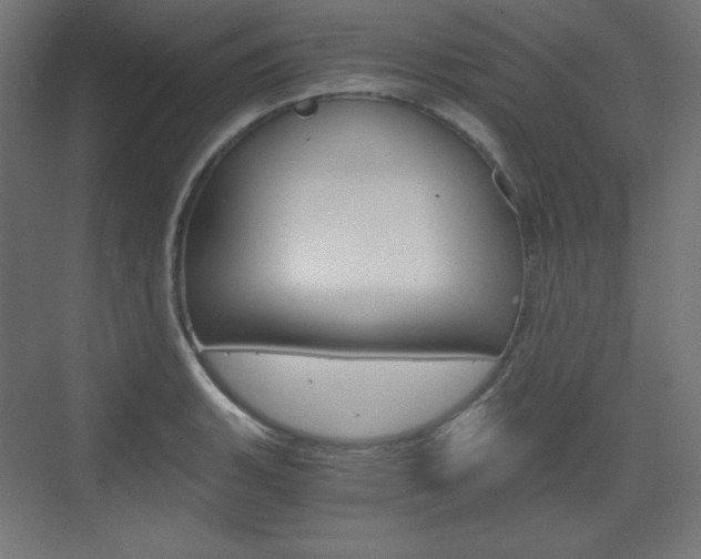 X0000073431135200607280958