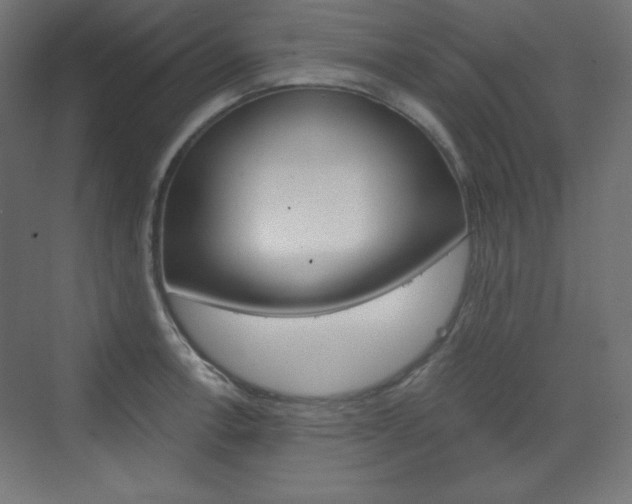X0000073431138200607280958