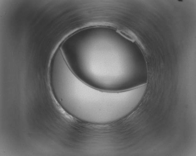 X0000073431140200607280958