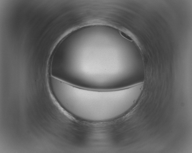 X0000073431142200607280958
