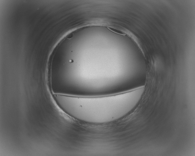 X0000073431147200607280958