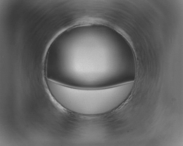 X0000073431152200607280959