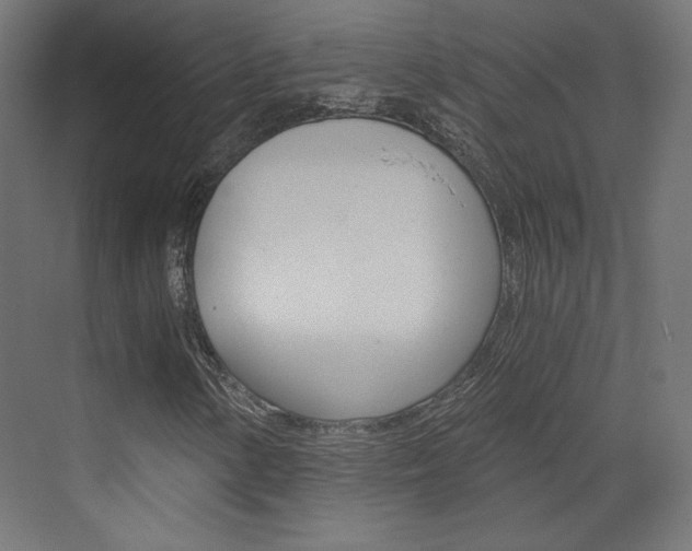 X0000073431154200607280958