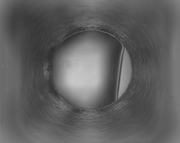 X0000073431156200607280958