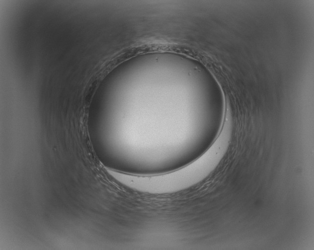 X0000073431157200607280958