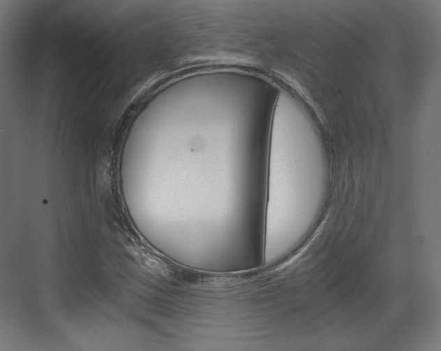 X0000073431163200607280958