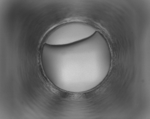X0000073431166200607280958