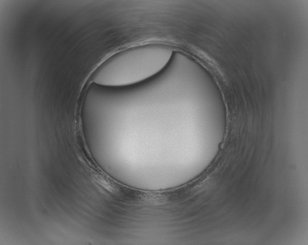 X0000073431170200607280957