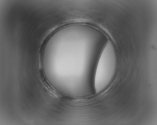 X0000073431171200607280957