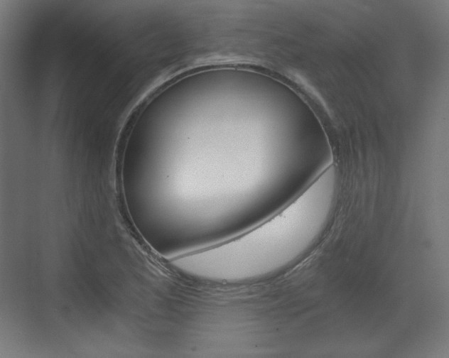X0000073431173200607280957