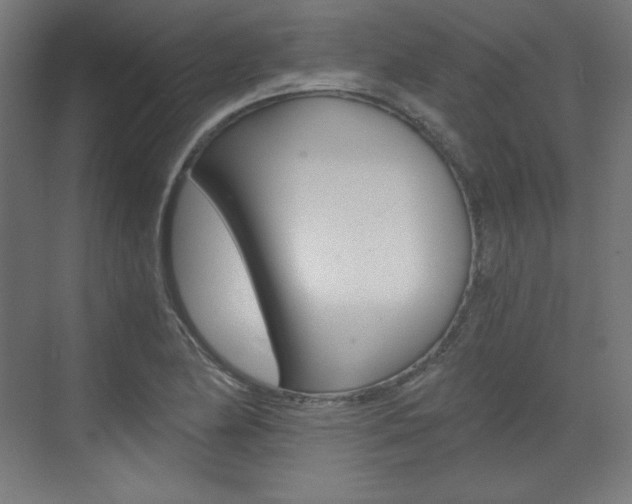 X0000073431174200607280957