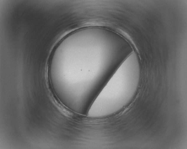 X0000073431179200607280957