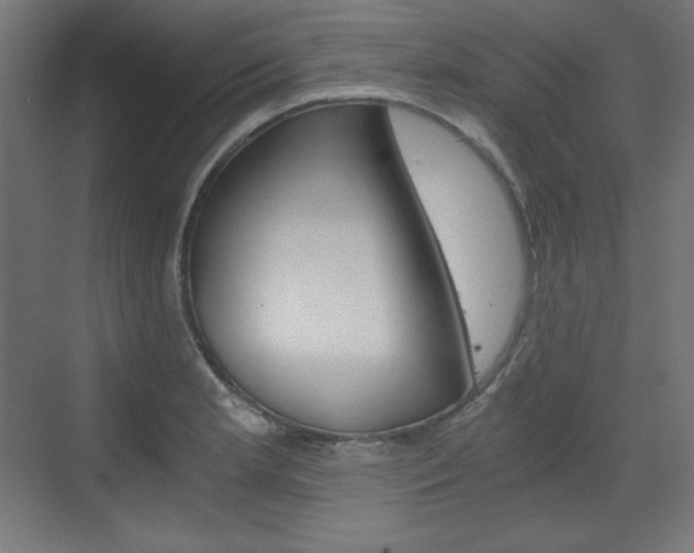 X0000073431181200607280957