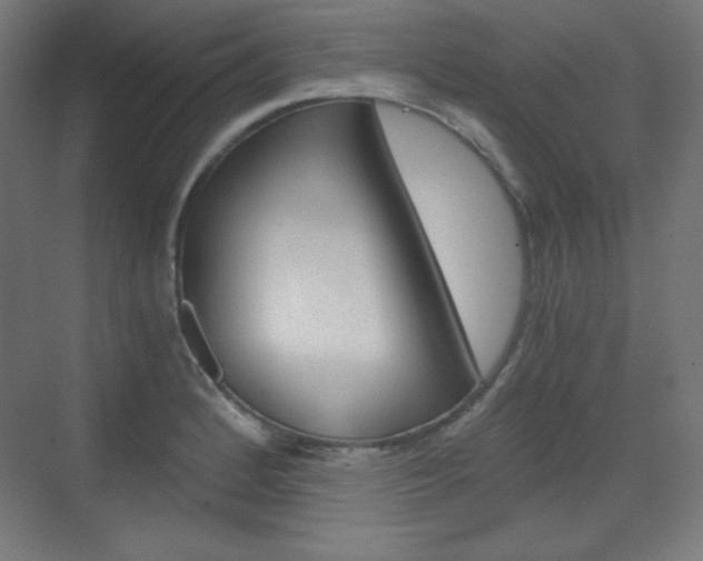 X0000073431184200607280957