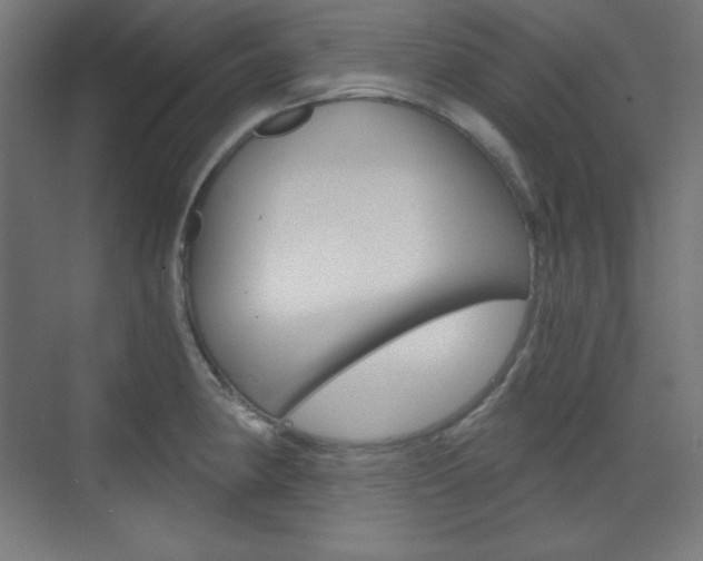 X0000073431190200607280957