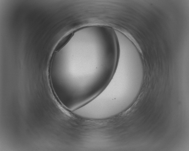 X0000073431197200607280957