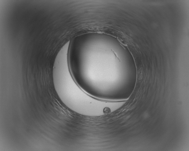 X0000073431202200607280956