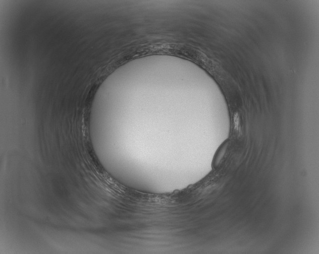 X0000073431203200607280956