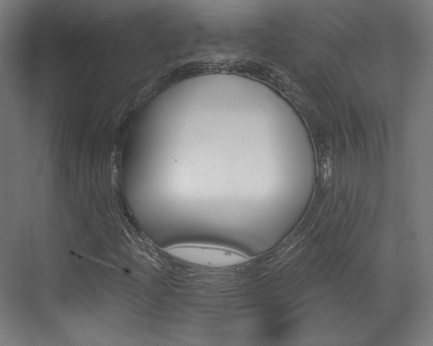 X0000073431204200607280956