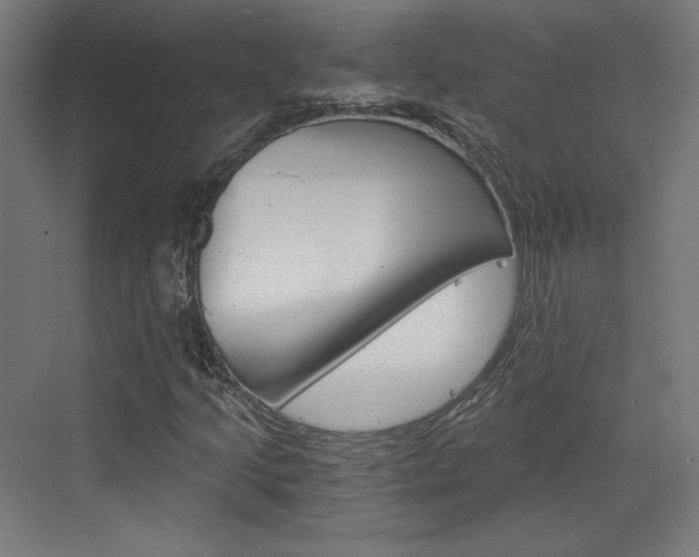 X0000073431205200607280956