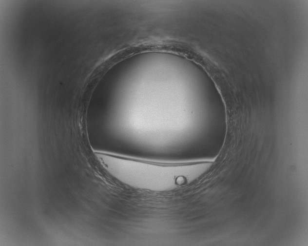 X0000073431206200607280956