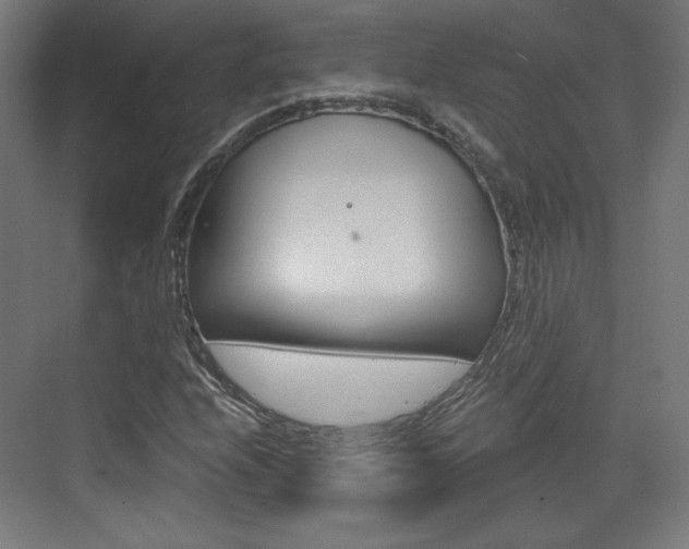 X0000073431208200607280956