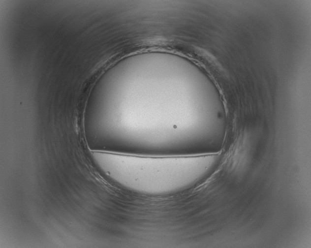 X0000073431209200607280956