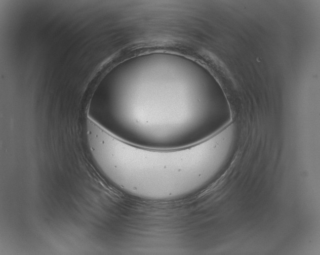 X0000073431210200607280956